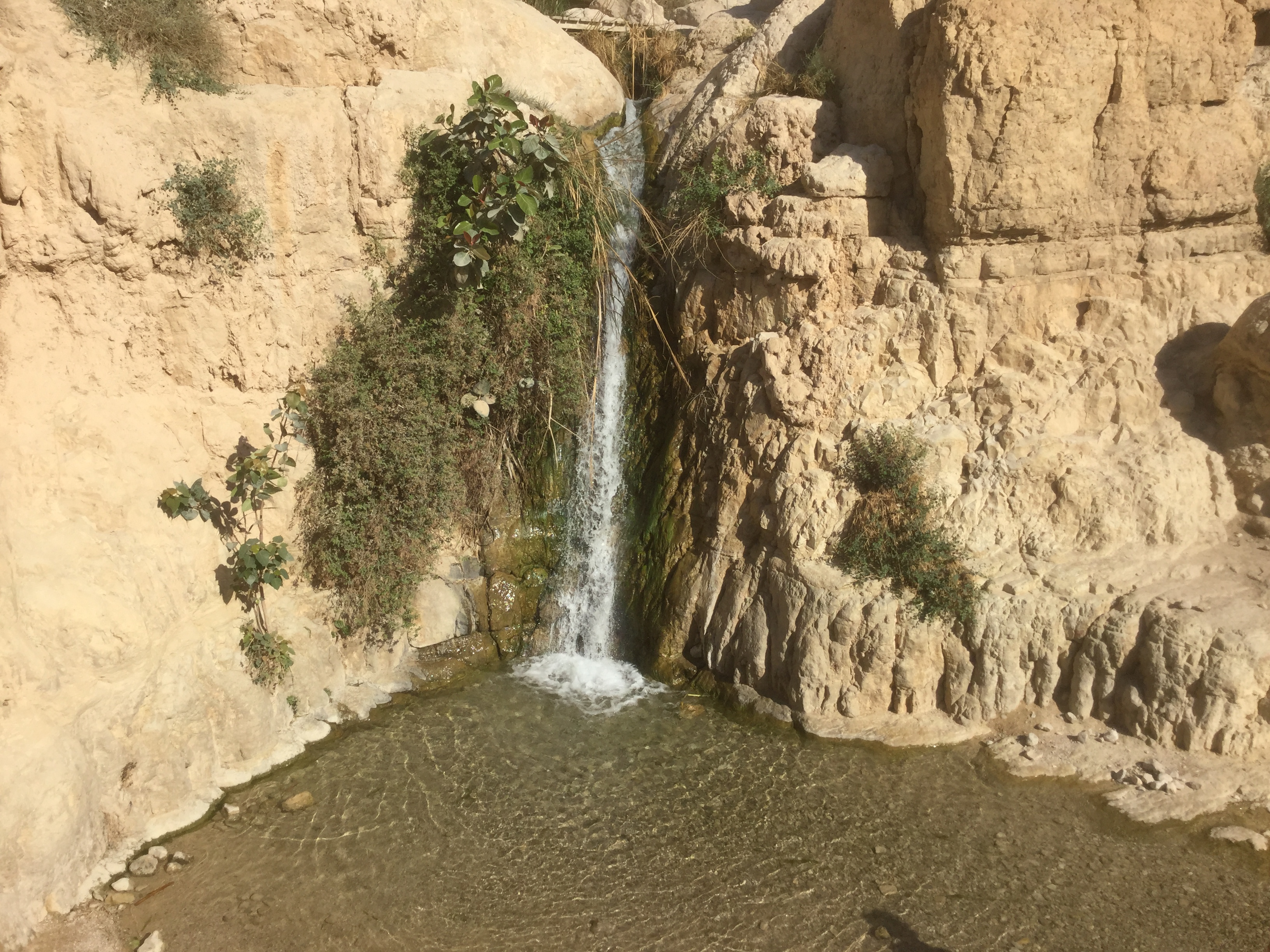ISRAEL