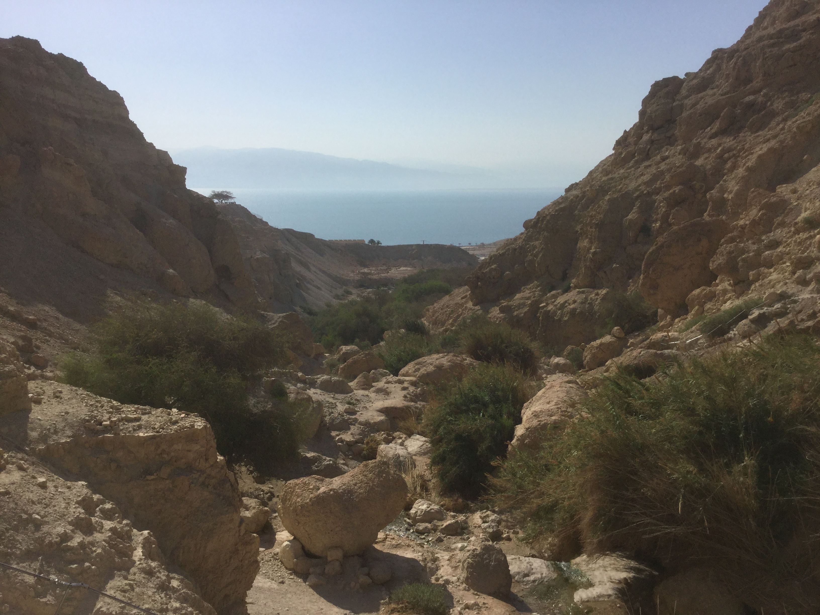 ISRAEL