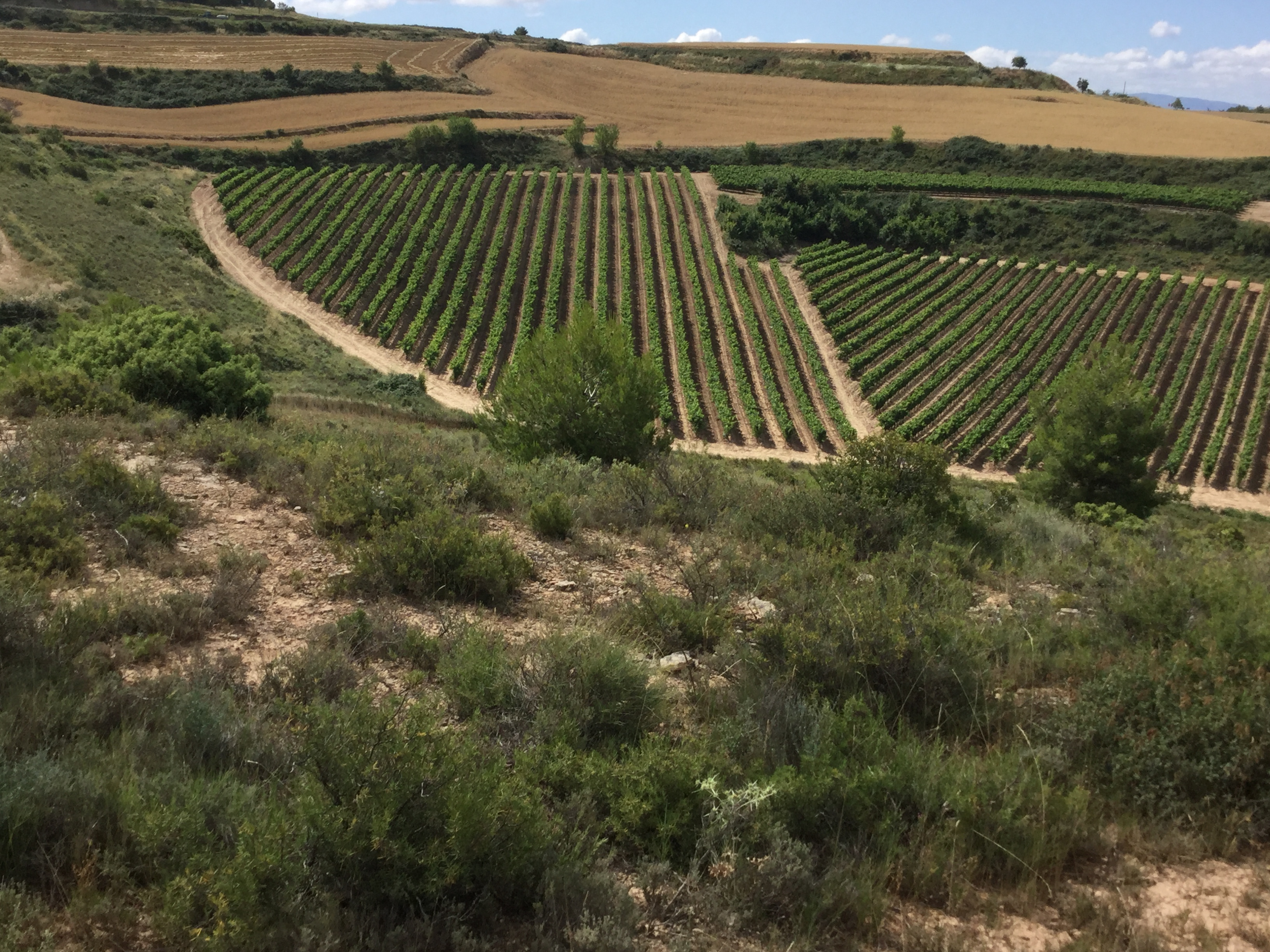 SPAIN
