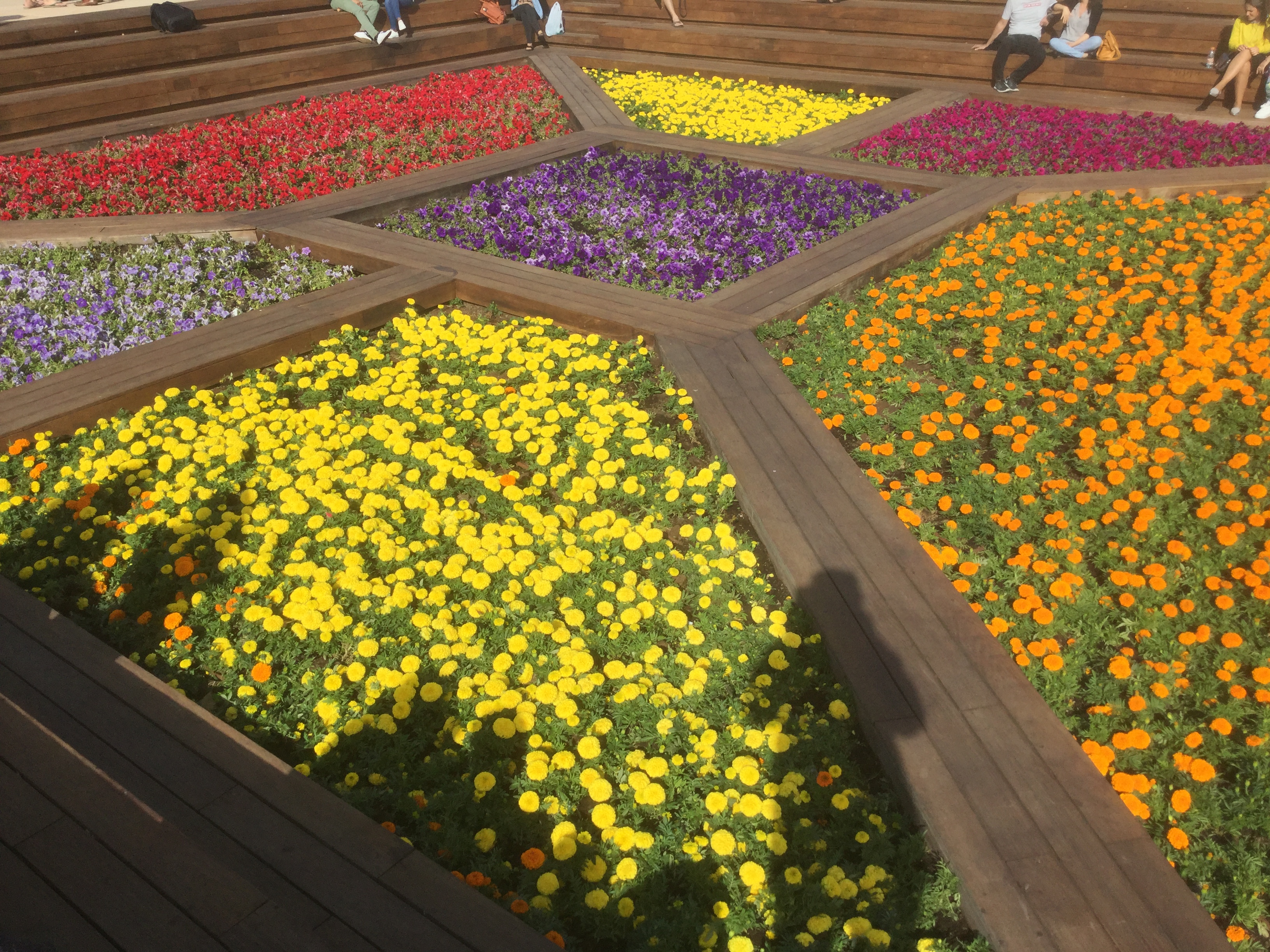 GARDEN CLUB PRESENTATION