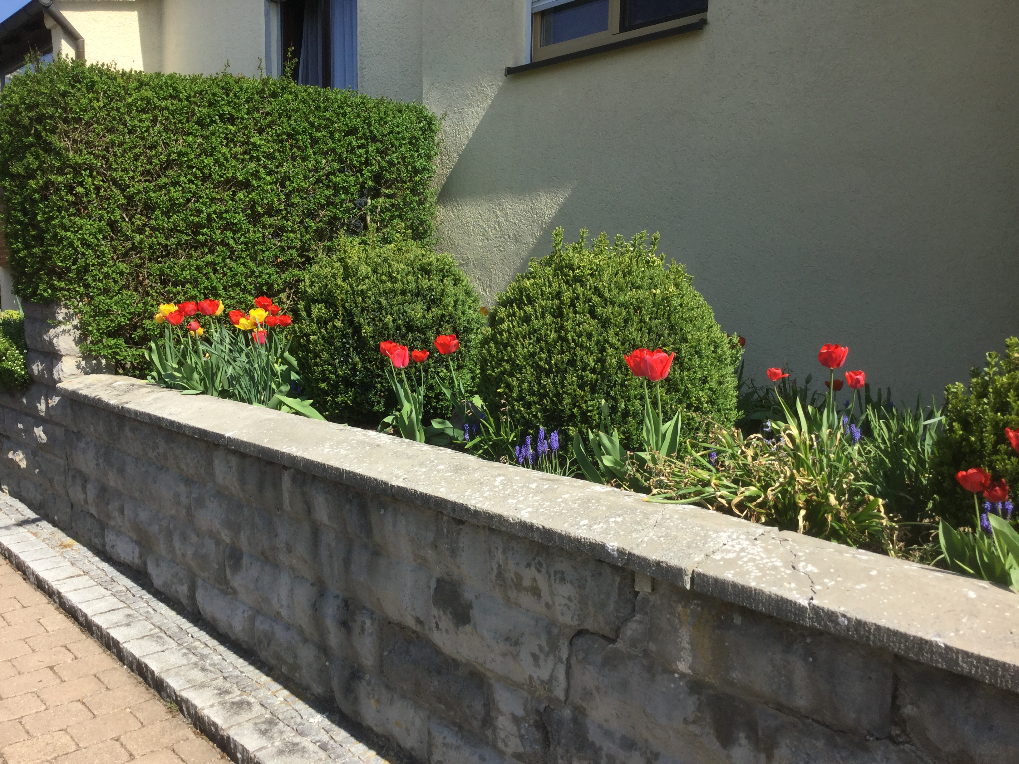 GARDEN CLUB PRESENTATION