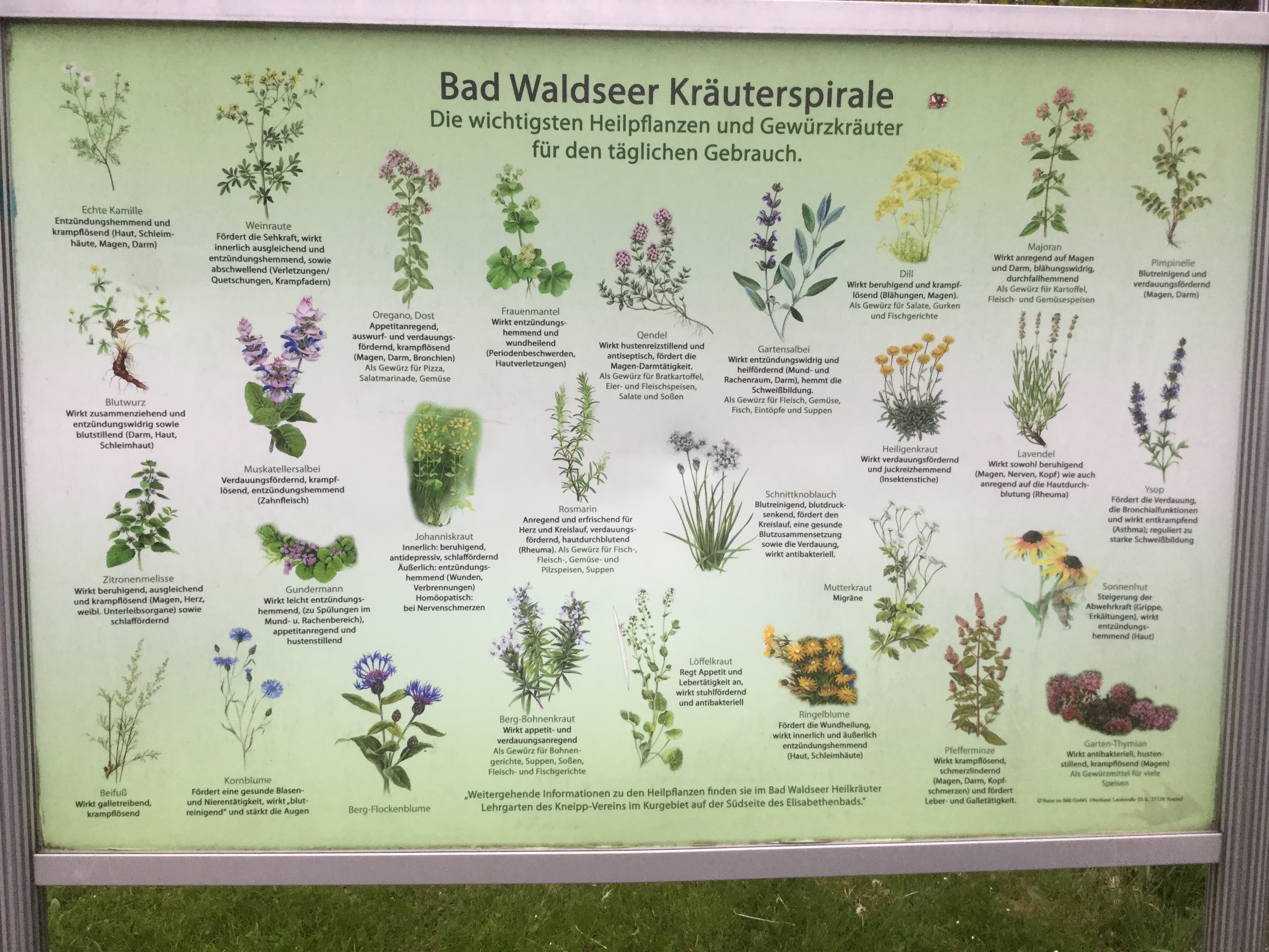 GARDEN CLUB PRESENTATION