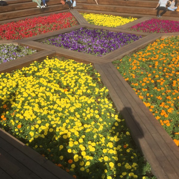 Thumbnail for GARDEN CLUB PRESENTATION